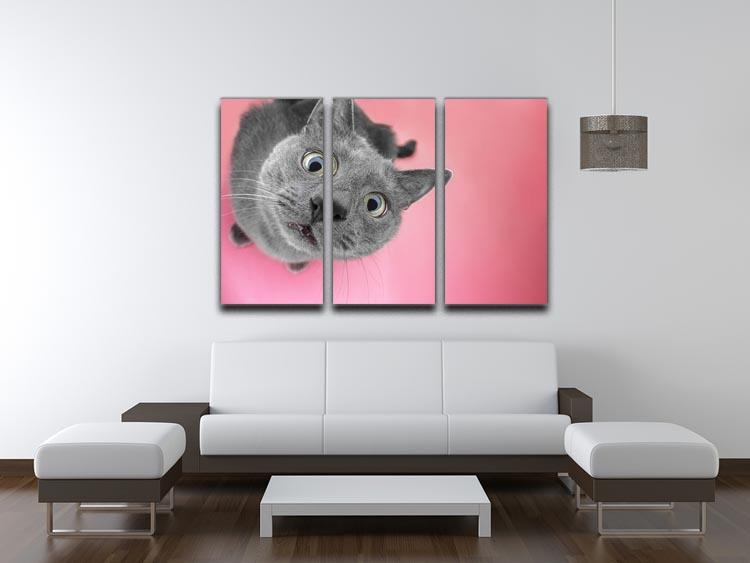 Grey cat sitting on the pink background 3 Split Panel Canvas Print - Canvas Art Rocks - 3