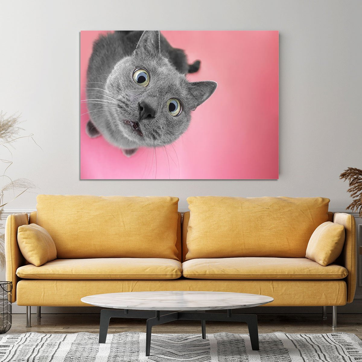 Grey cat sitting on the pink background Canvas Print or Poster