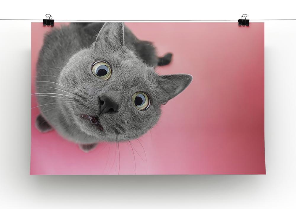 Grey cat sitting on the pink background Canvas Print or Poster - Canvas Art Rocks - 2
