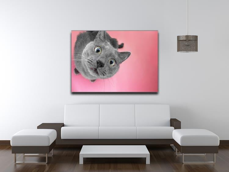 Grey cat sitting on the pink background Canvas Print or Poster - Canvas Art Rocks - 4