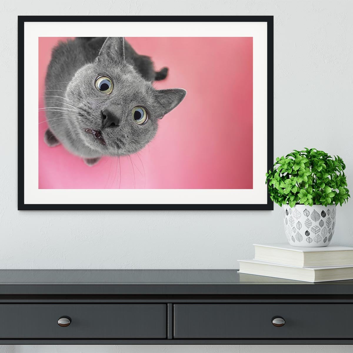 Grey cat sitting on the pink background Framed Print - Canvas Art Rocks - 1