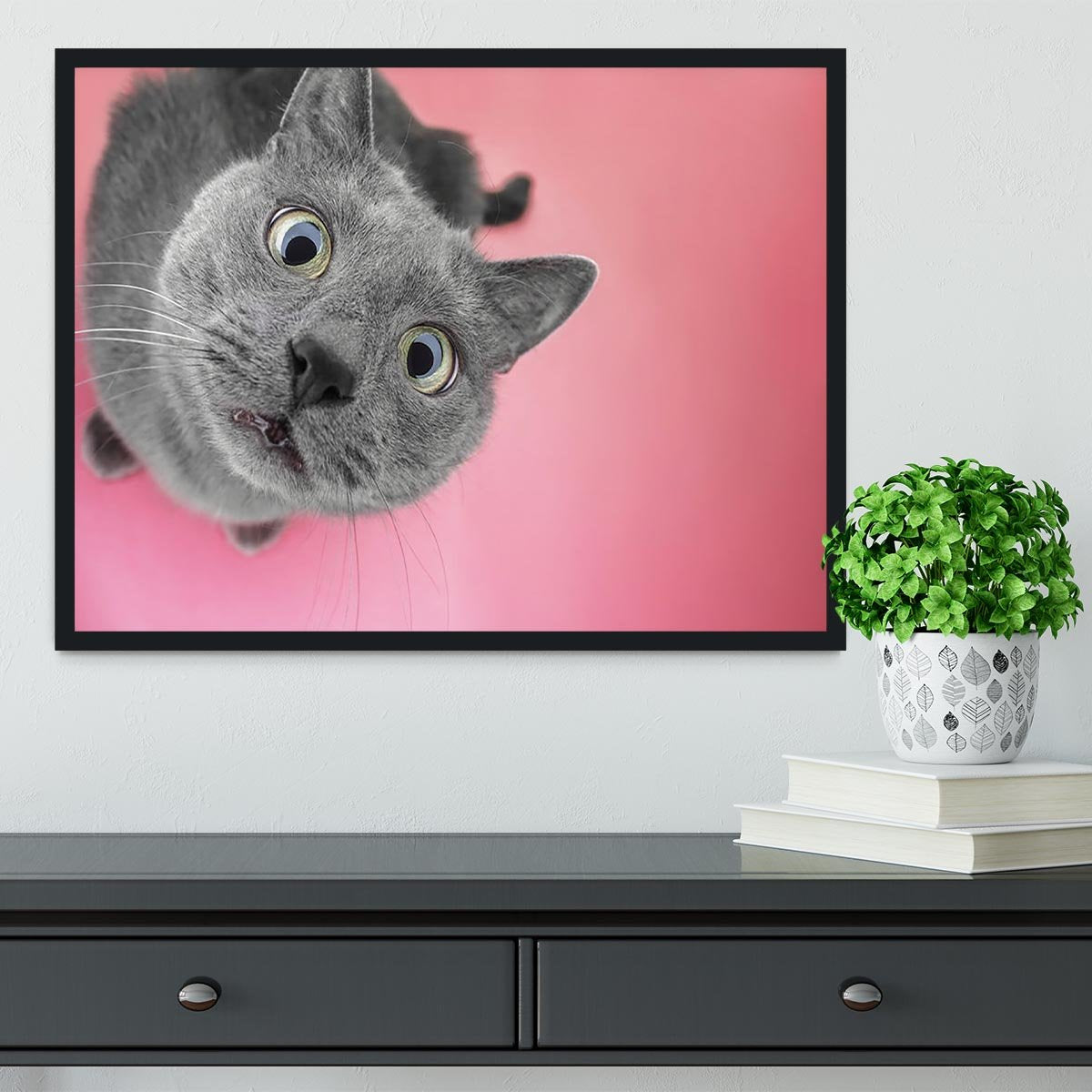 Grey cat sitting on the pink background Framed Print - Canvas Art Rocks - 2
