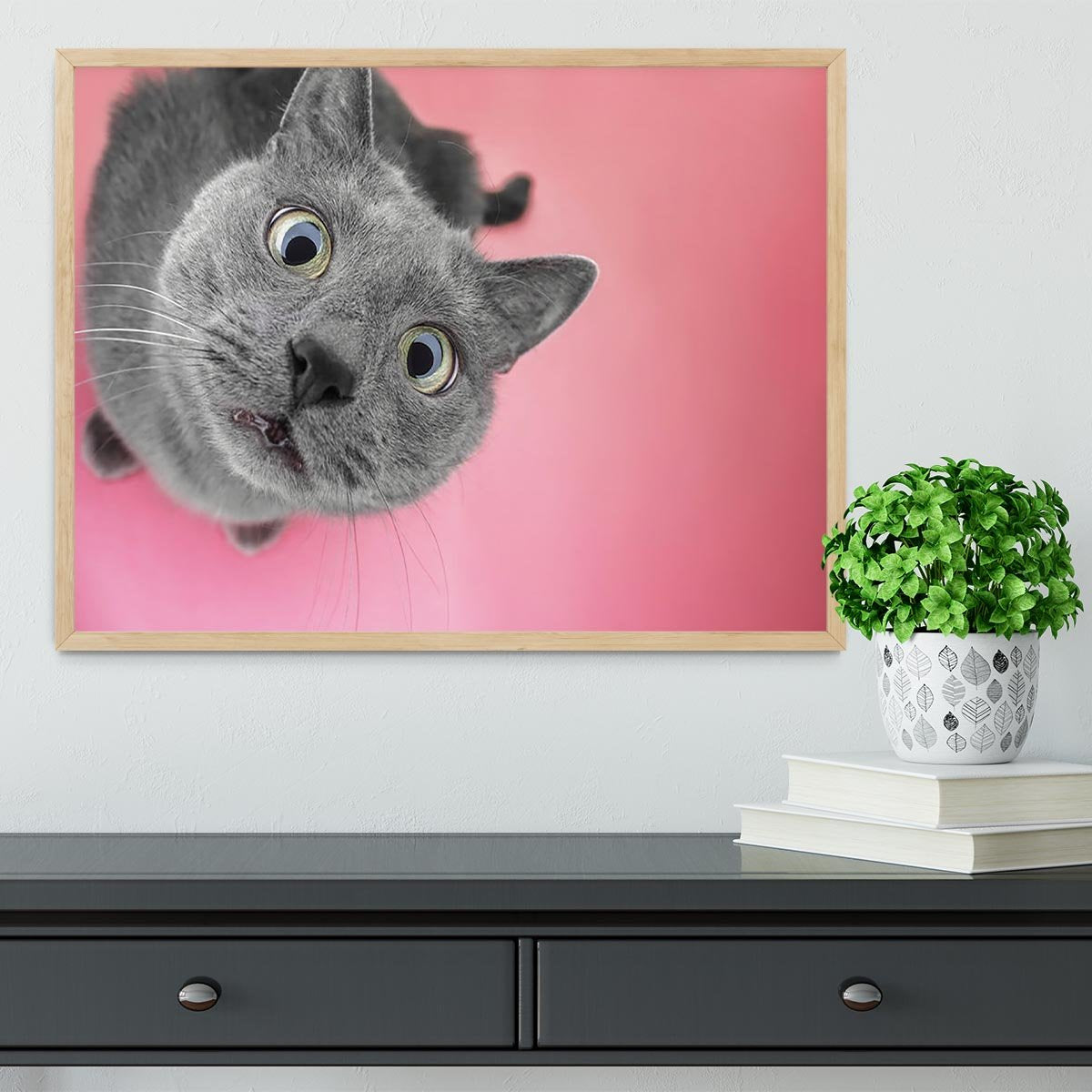 Grey cat sitting on the pink background Framed Print - Canvas Art Rocks - 4