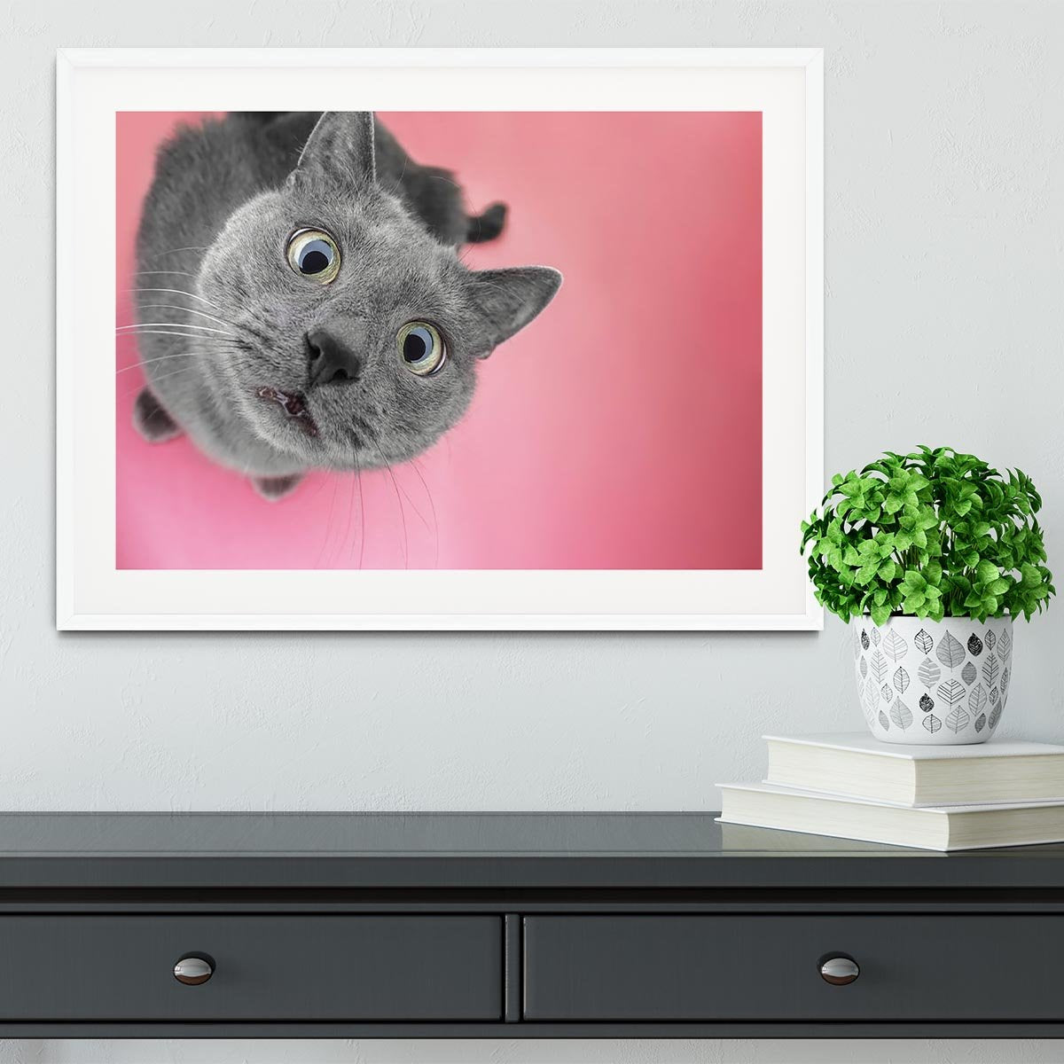 Grey cat sitting on the pink background Framed Print - Canvas Art Rocks - 5