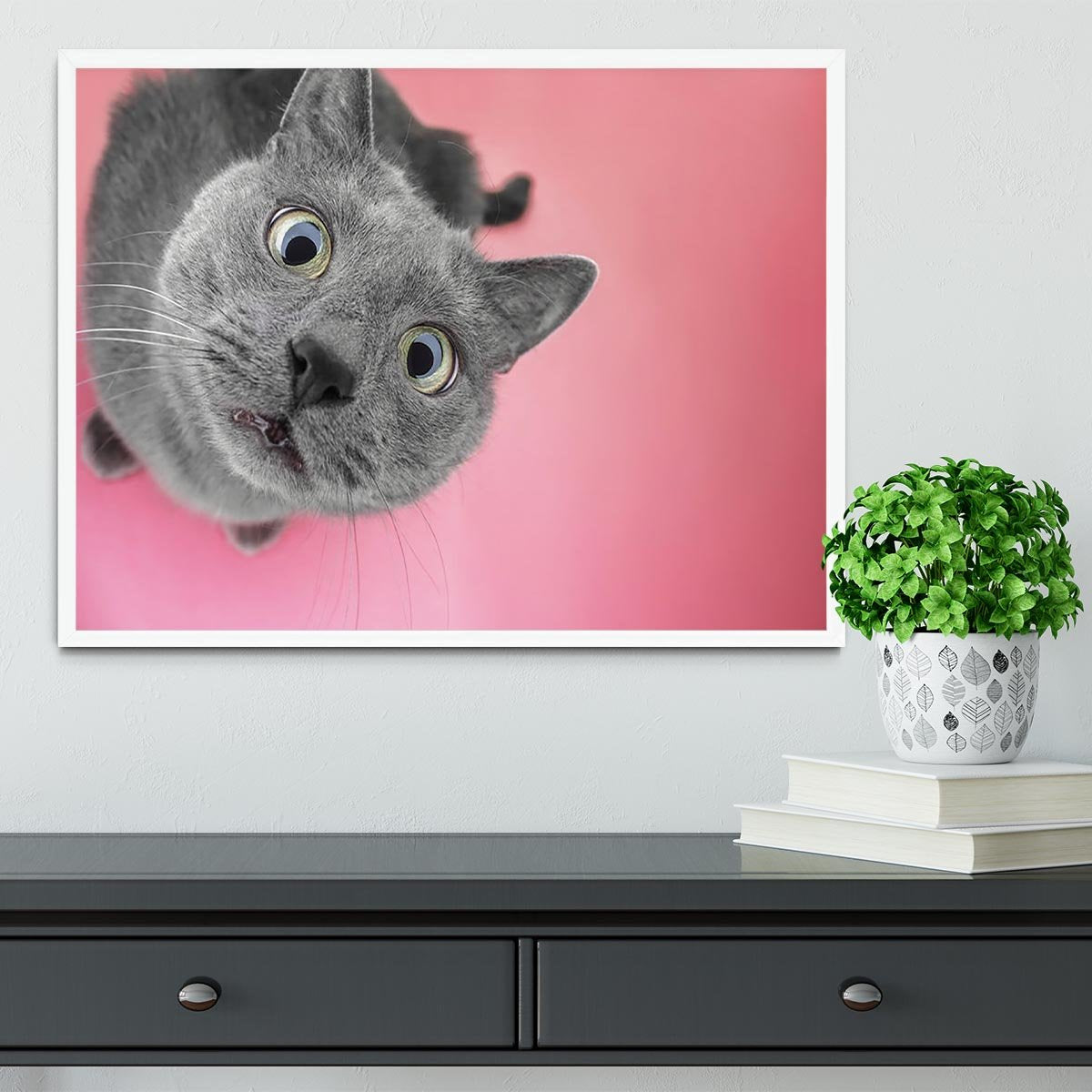 Grey cat sitting on the pink background Framed Print - Canvas Art Rocks -6