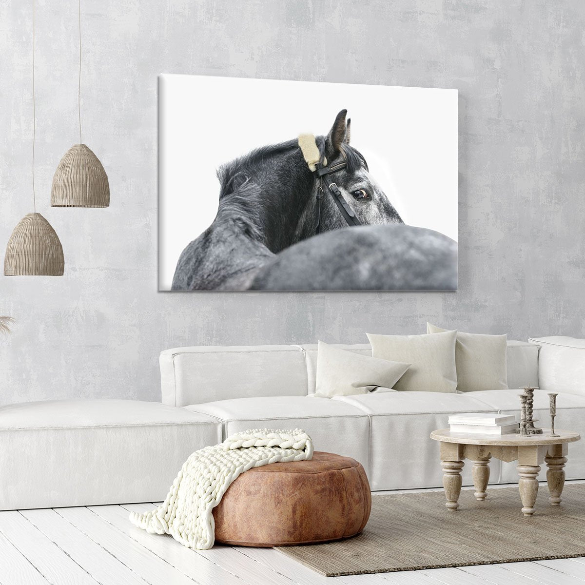 Grey horse isolated Canvas Print or Poster