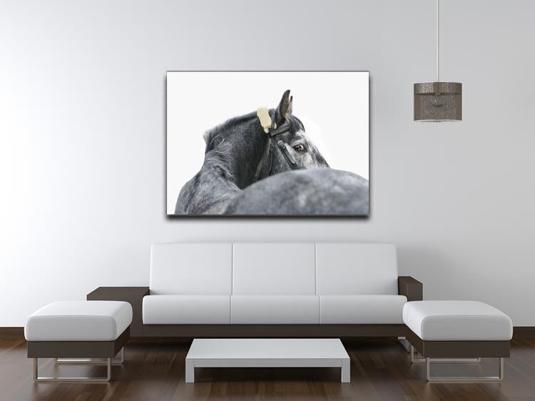 Grey horse isolated Canvas Print or Poster - Canvas Art Rocks - 4