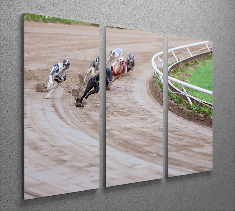 Greyhound dogs racing 3 Split Panel Canvas Print - Canvas Art Rocks - 2