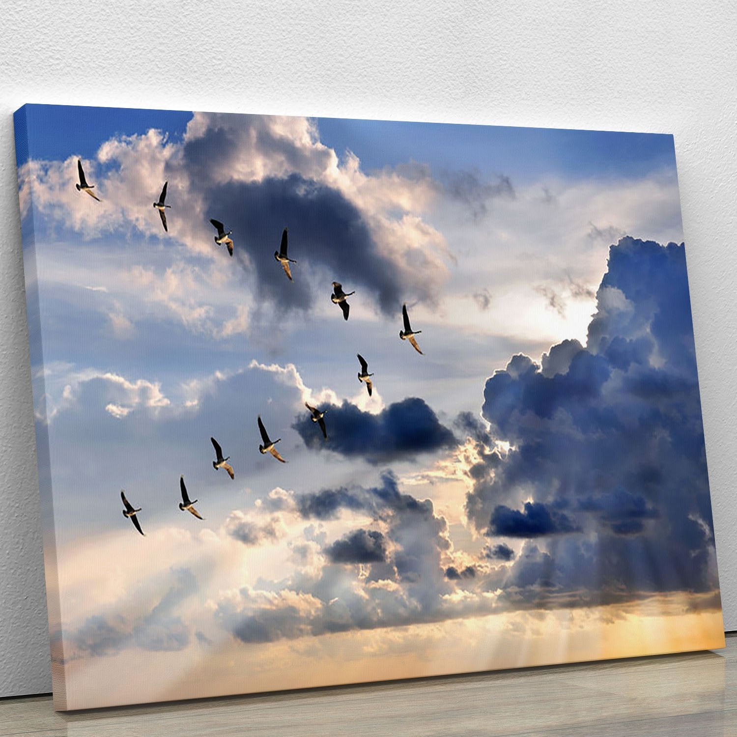 Group of Canadian geese flying in V-formation Canvas Print or Poster