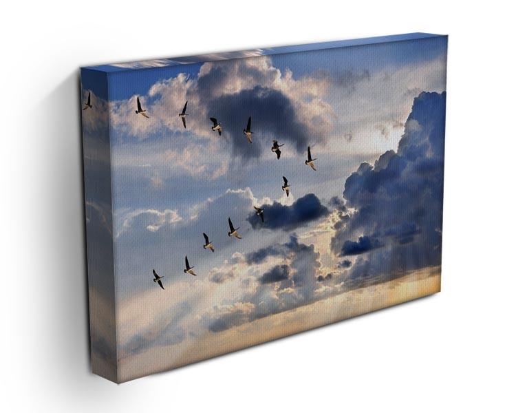 Group of Canadian geese flying in V-formation Canvas Print or Poster - Canvas Art Rocks - 3