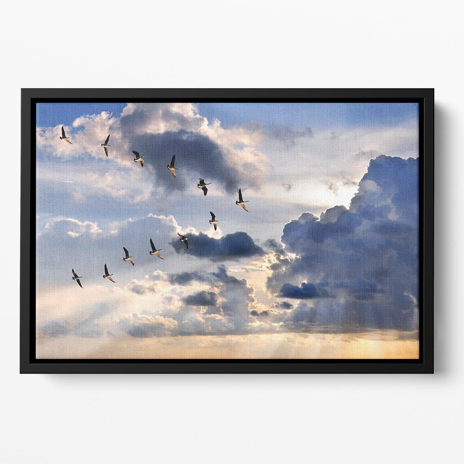 Group of Canadian geese flying in V-formation Floating Framed Canvas - Canvas Art Rocks - 2