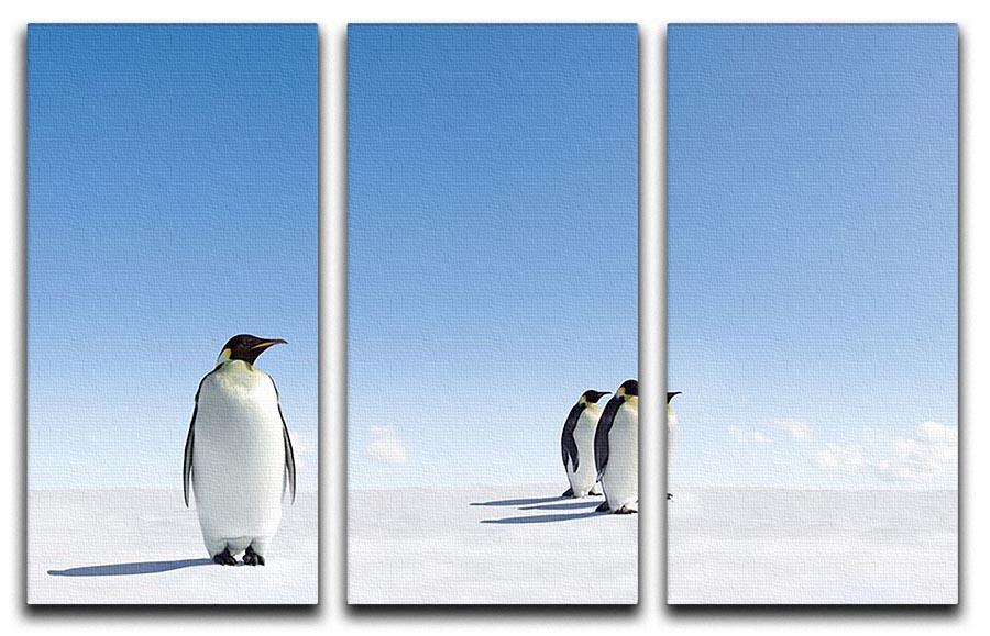 Group of Emperor Penguins in Antarctica 3 Split Panel Canvas Print - Canvas Art Rocks - 1