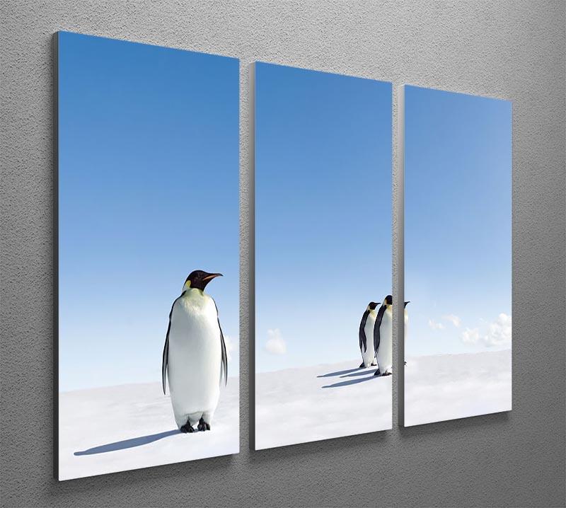 Group of Emperor Penguins in Antarctica 3 Split Panel Canvas Print - Canvas Art Rocks - 2