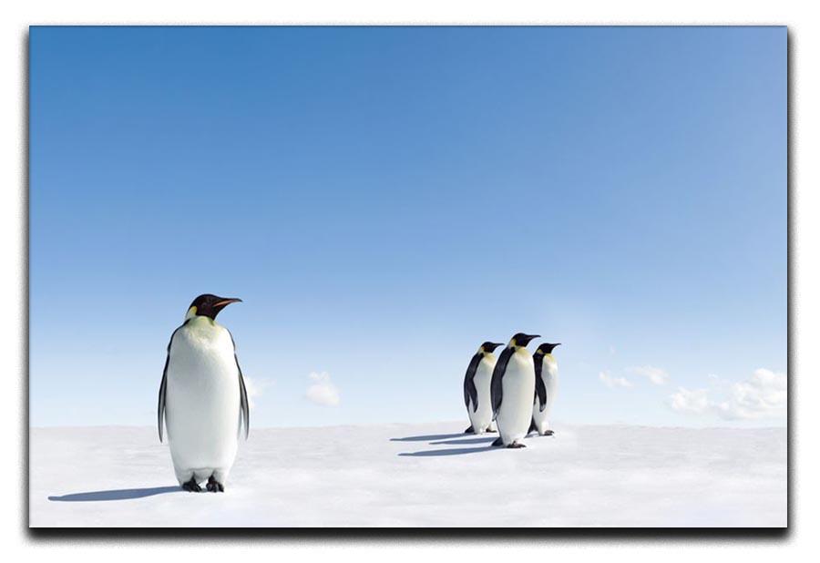 Group of Emperor Penguins in Antarctica Canvas Print or Poster - Canvas Art Rocks - 1