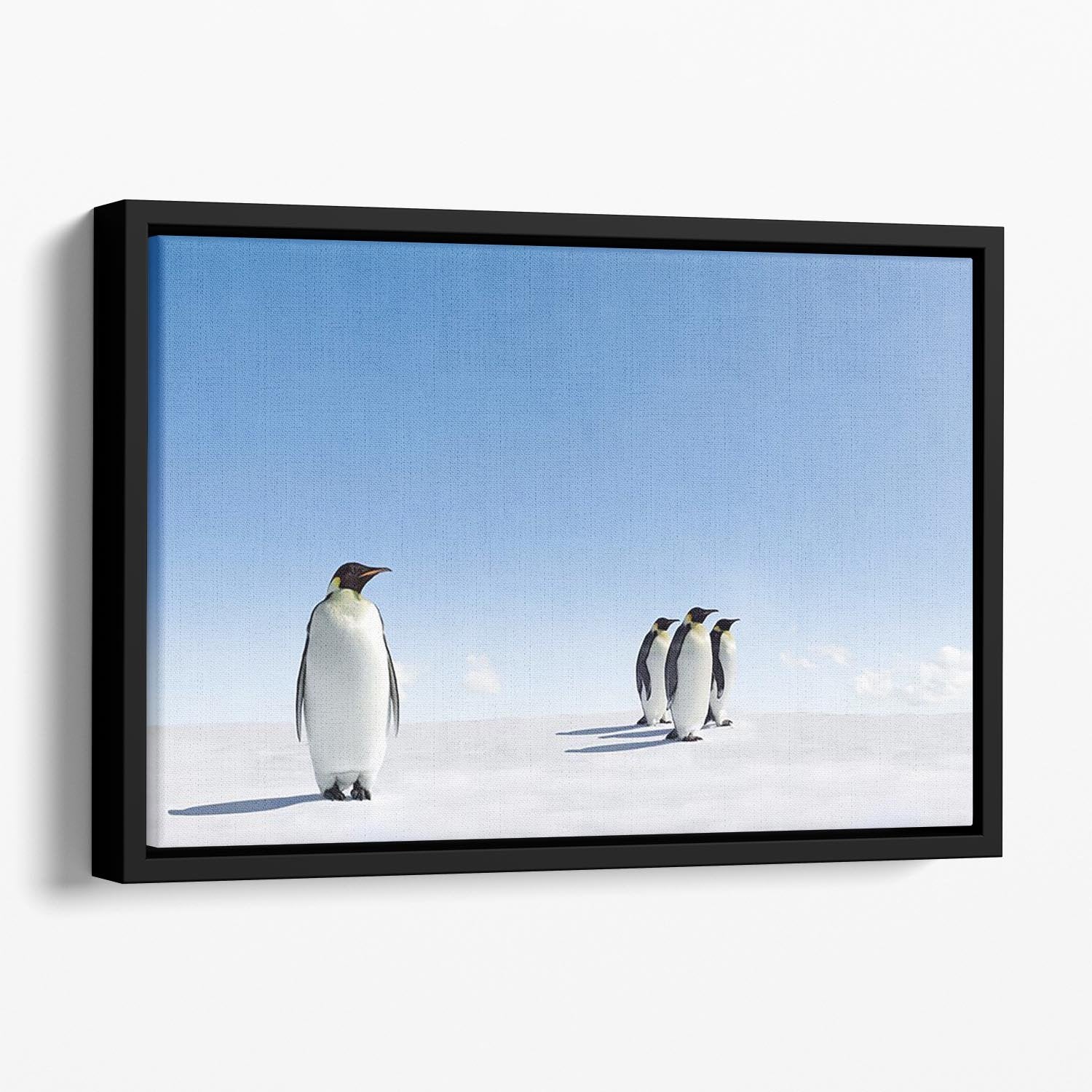 Group of Emperor Penguins in Antarctica Floating Framed Canvas - Canvas Art Rocks - 1