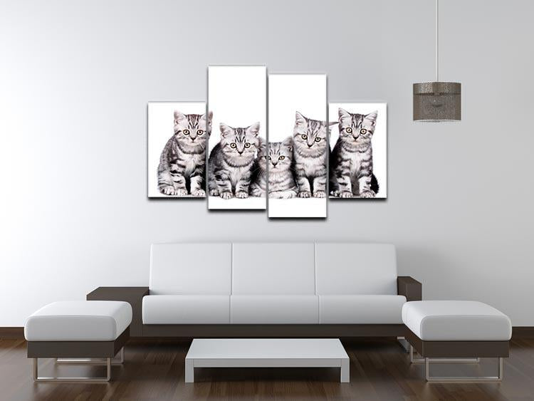 Group of five british shorthair kitten 4 Split Panel Canvas - Canvas Art Rocks - 3
