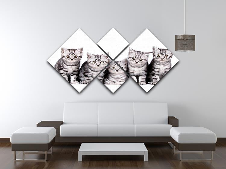 Group of five british shorthair kitten 4 Square Multi Panel Canvas - Canvas Art Rocks - 3