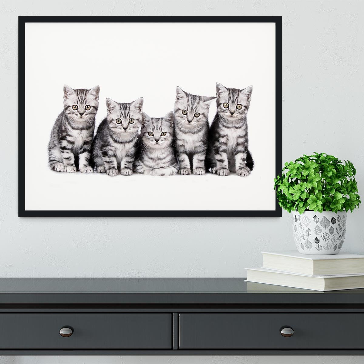 Group of five british shorthair kitten Framed Print - Canvas Art Rocks - 1