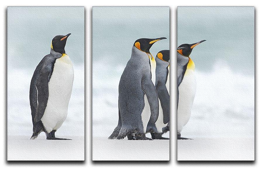 Group of four King penguins 3 Split Panel Canvas Print - Canvas Art Rocks - 1