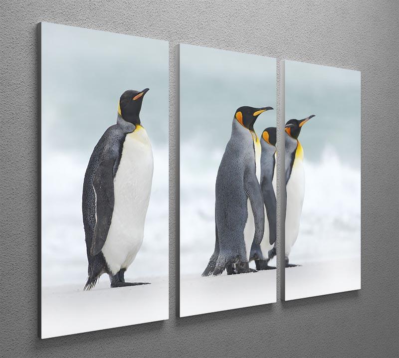 Group of four King penguins 3 Split Panel Canvas Print - Canvas Art Rocks - 2