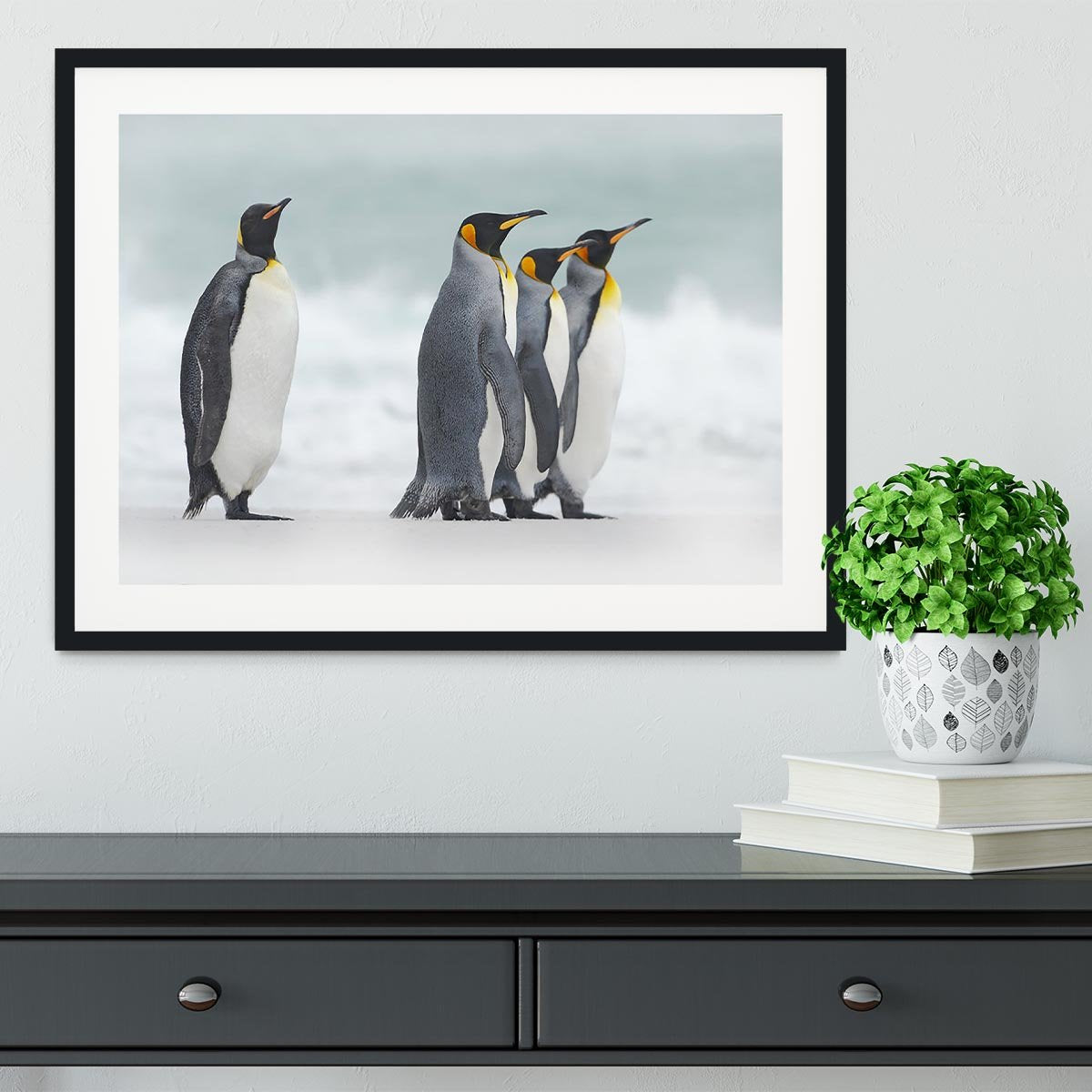 Group of four King penguins Framed Print - Canvas Art Rocks - 1