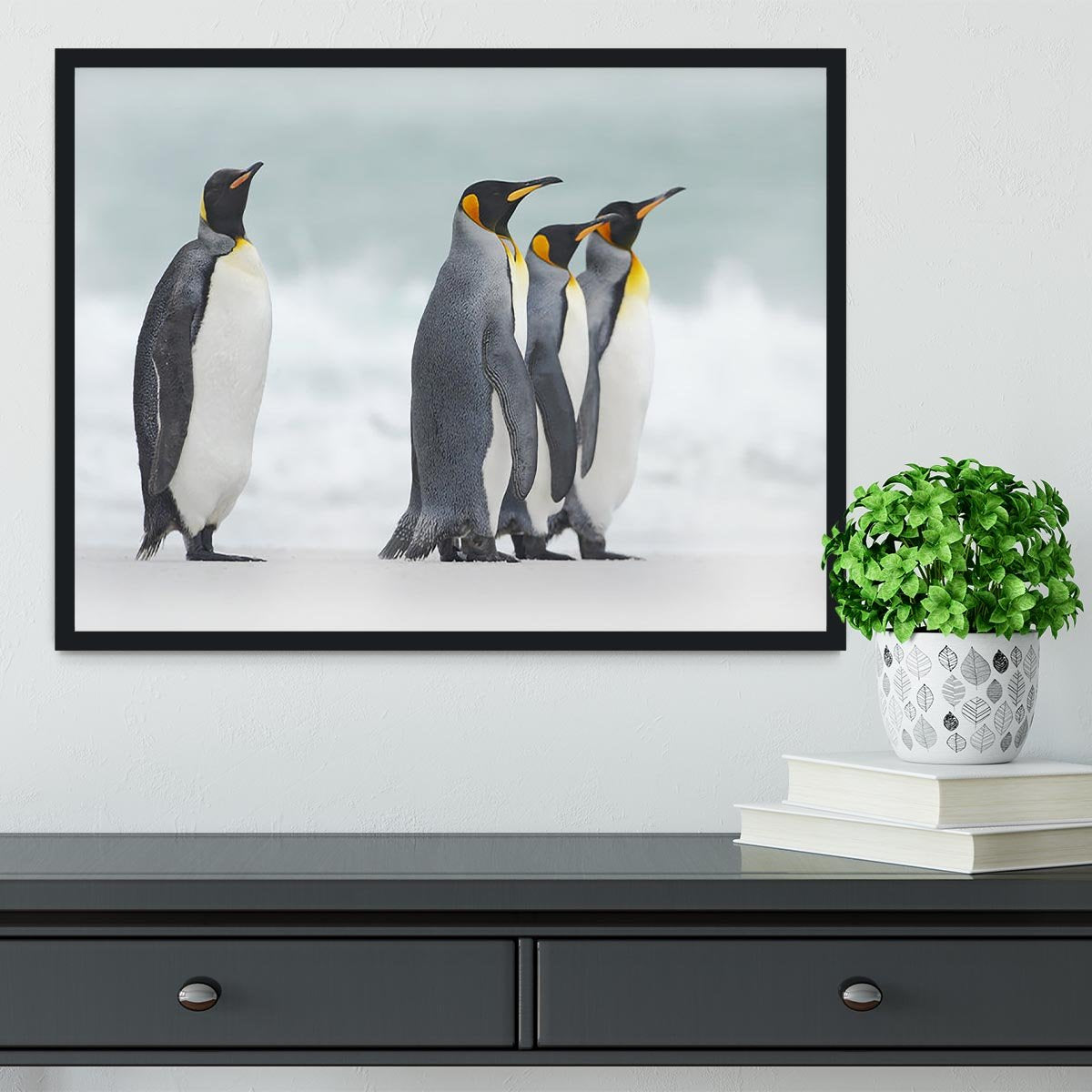 Group of four King penguins Framed Print - Canvas Art Rocks - 2