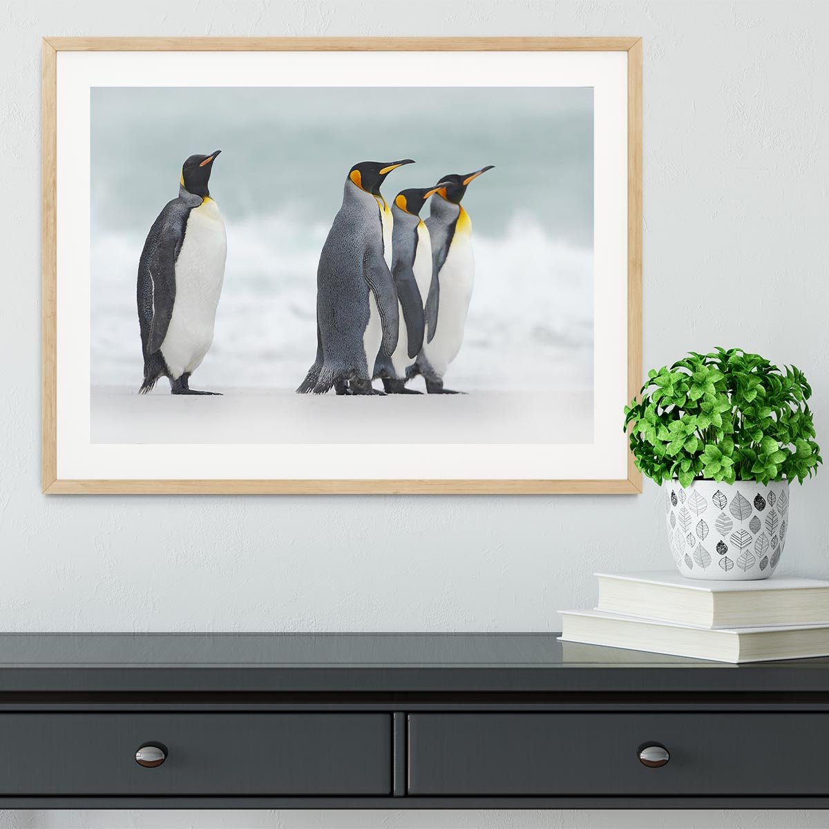 Group of four King penguins Framed Print - Canvas Art Rocks - 3