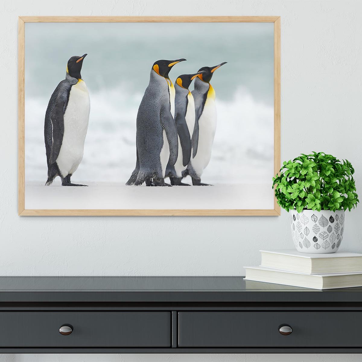 Group of four King penguins Framed Print - Canvas Art Rocks - 4