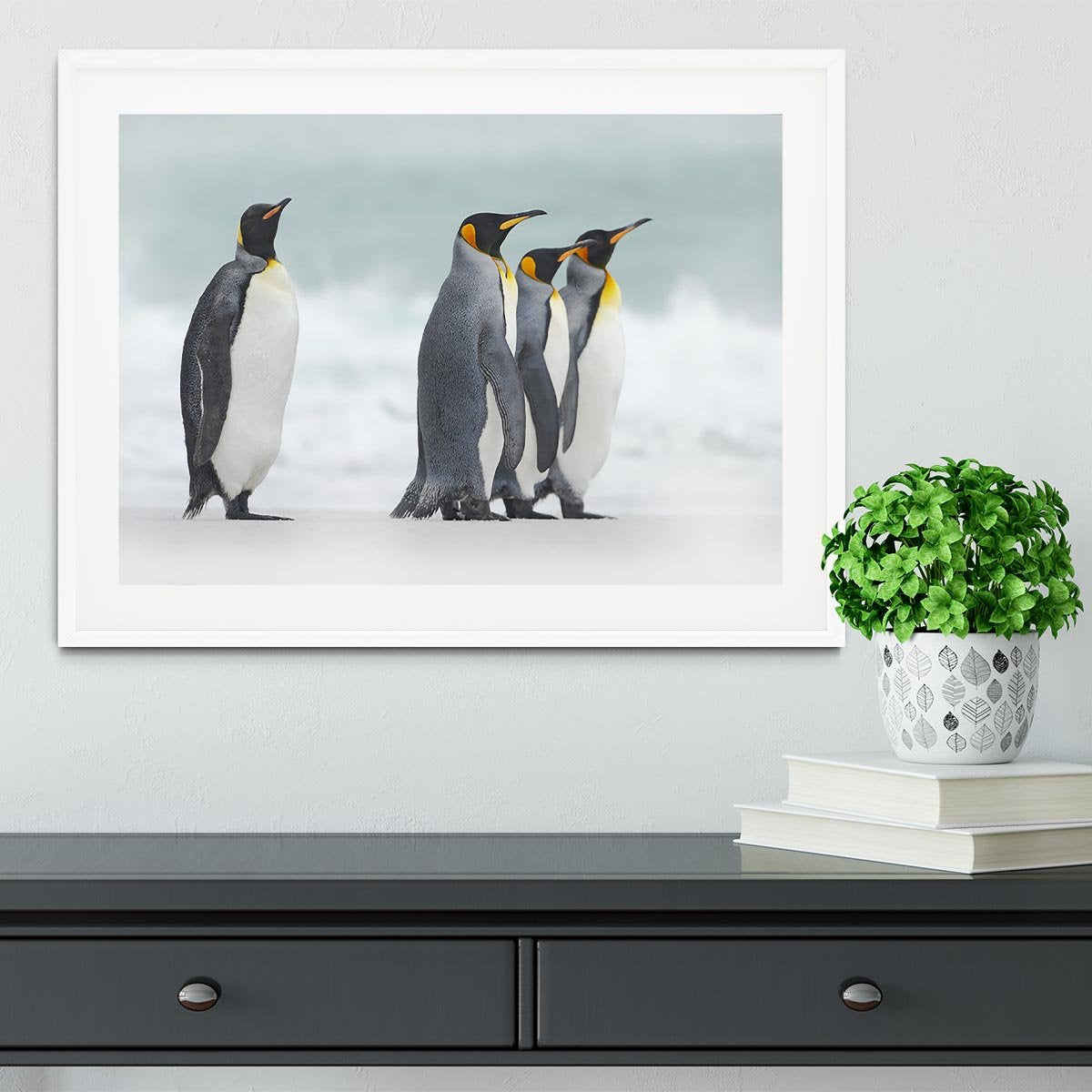 Group of four King penguins Framed Print - Canvas Art Rocks - 5