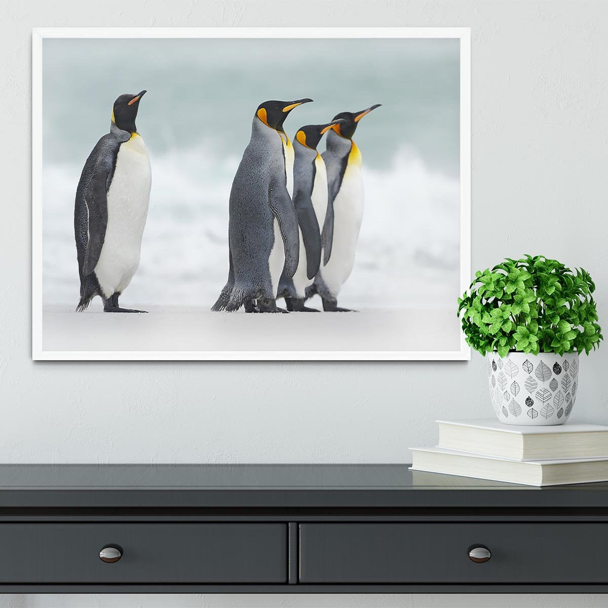 Group of four King penguins Framed Print - Canvas Art Rocks -6