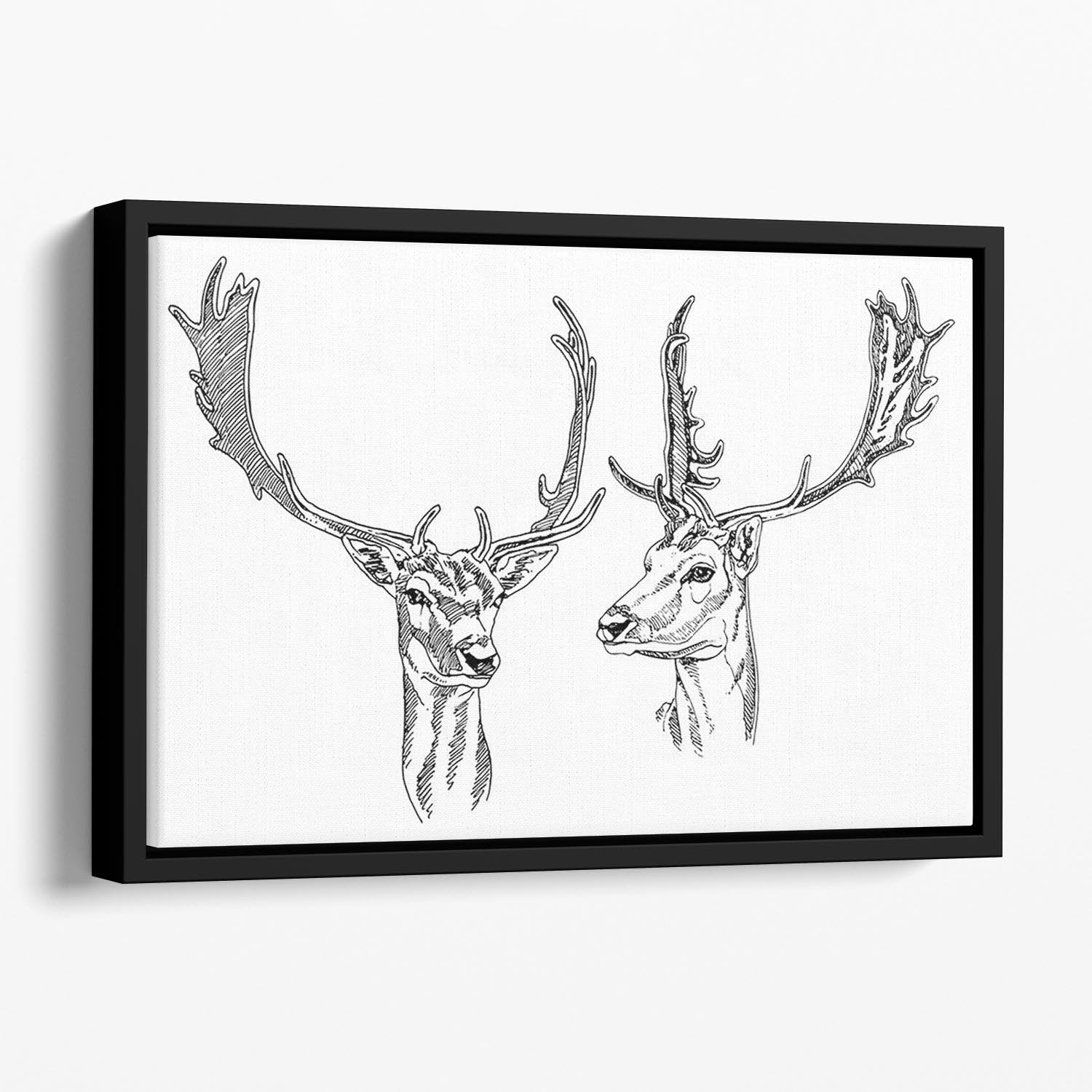 Hand drawn deer heads Floating Framed Canvas - Canvas Art Rocks - 1