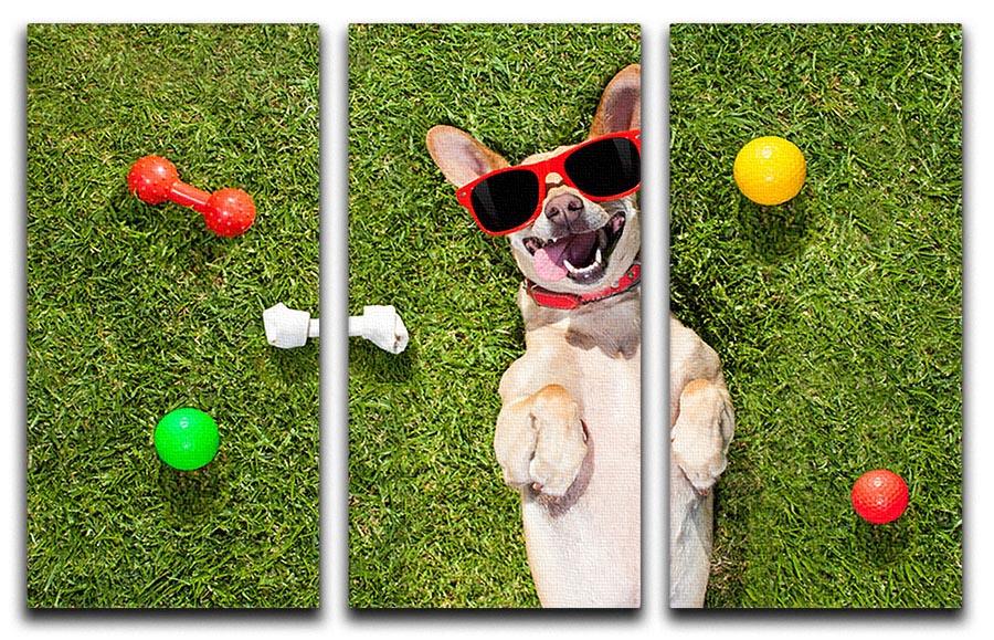 Happy chihuahua terrier dog in park 3 Split Panel Canvas Print - Canvas Art Rocks - 1