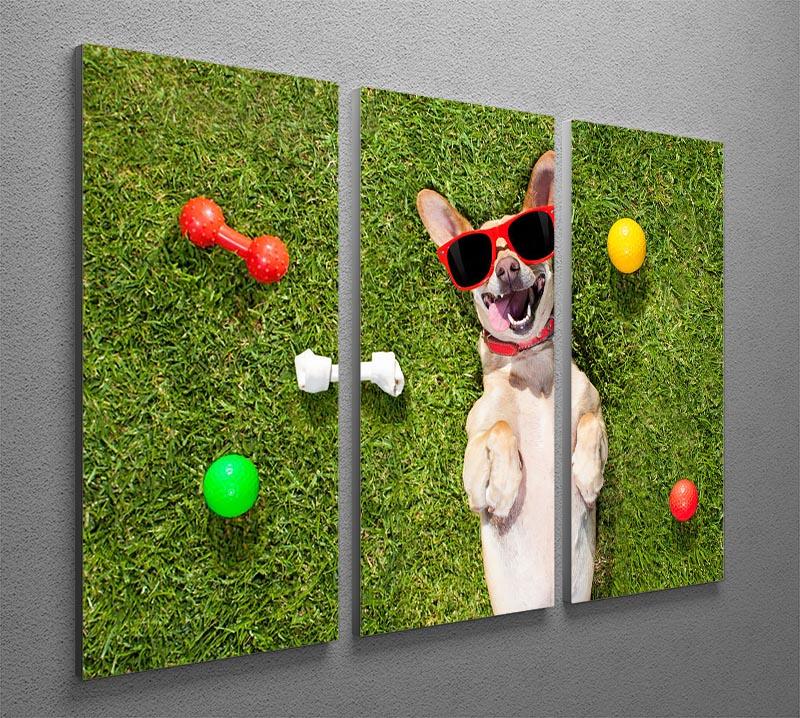 Happy chihuahua terrier dog in park 3 Split Panel Canvas Print - Canvas Art Rocks - 2
