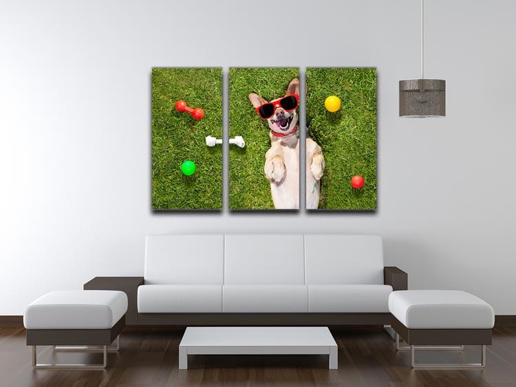 Happy chihuahua terrier dog in park 3 Split Panel Canvas Print - Canvas Art Rocks - 3