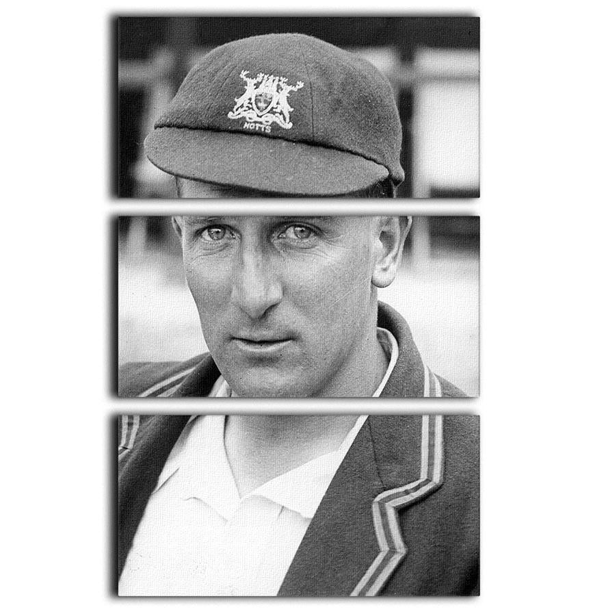 Harold Larwood, cricketer 3 Split Panel Canvas Print - Canvas Art Rocks - 1