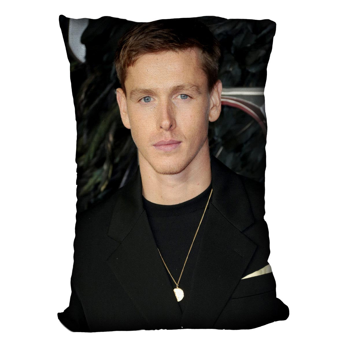 Harris Dickinson Cushion - Canvas Art Rocks - 4