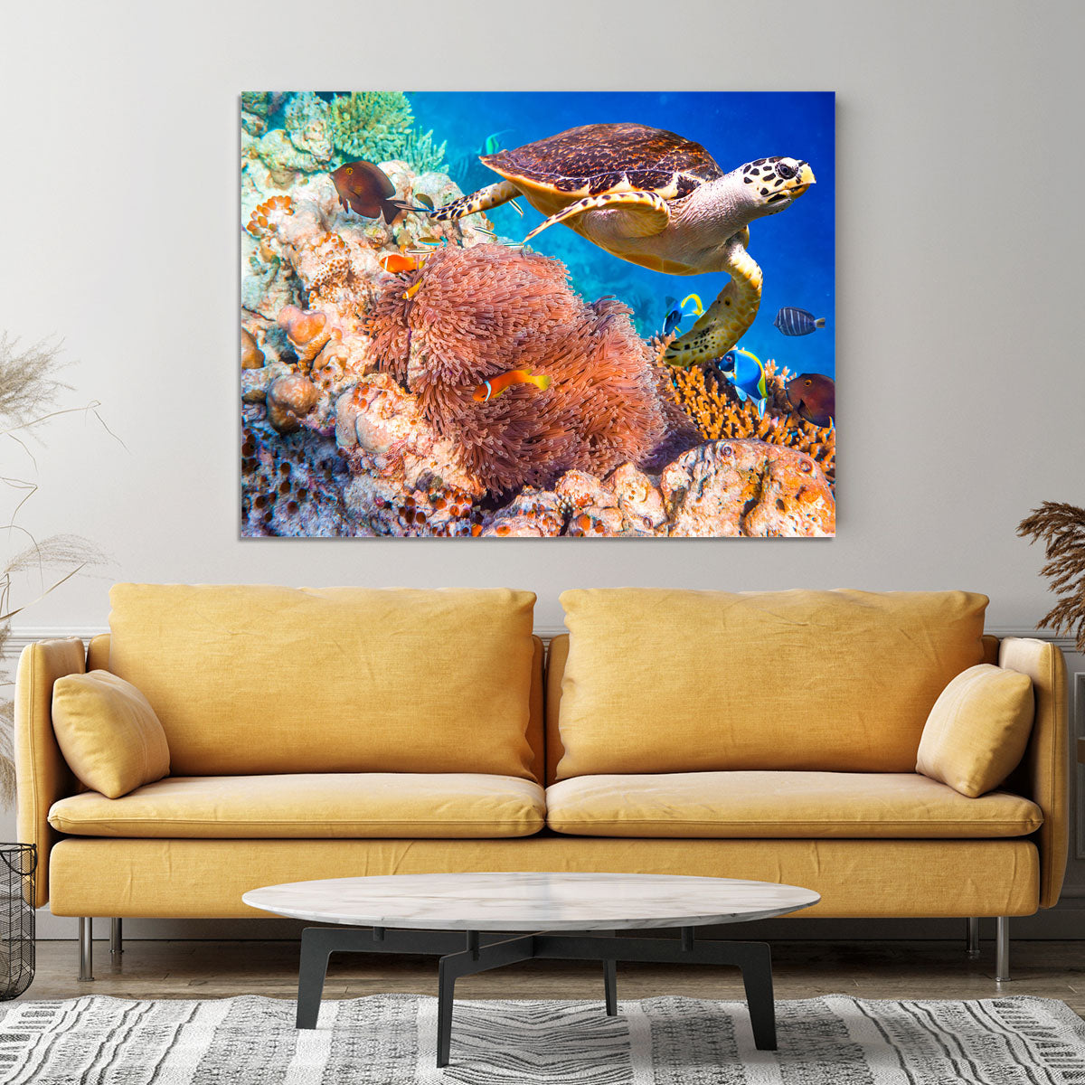 Hawksbill Turtle Canvas Print or Poster - Canvas Art Rocks - 4