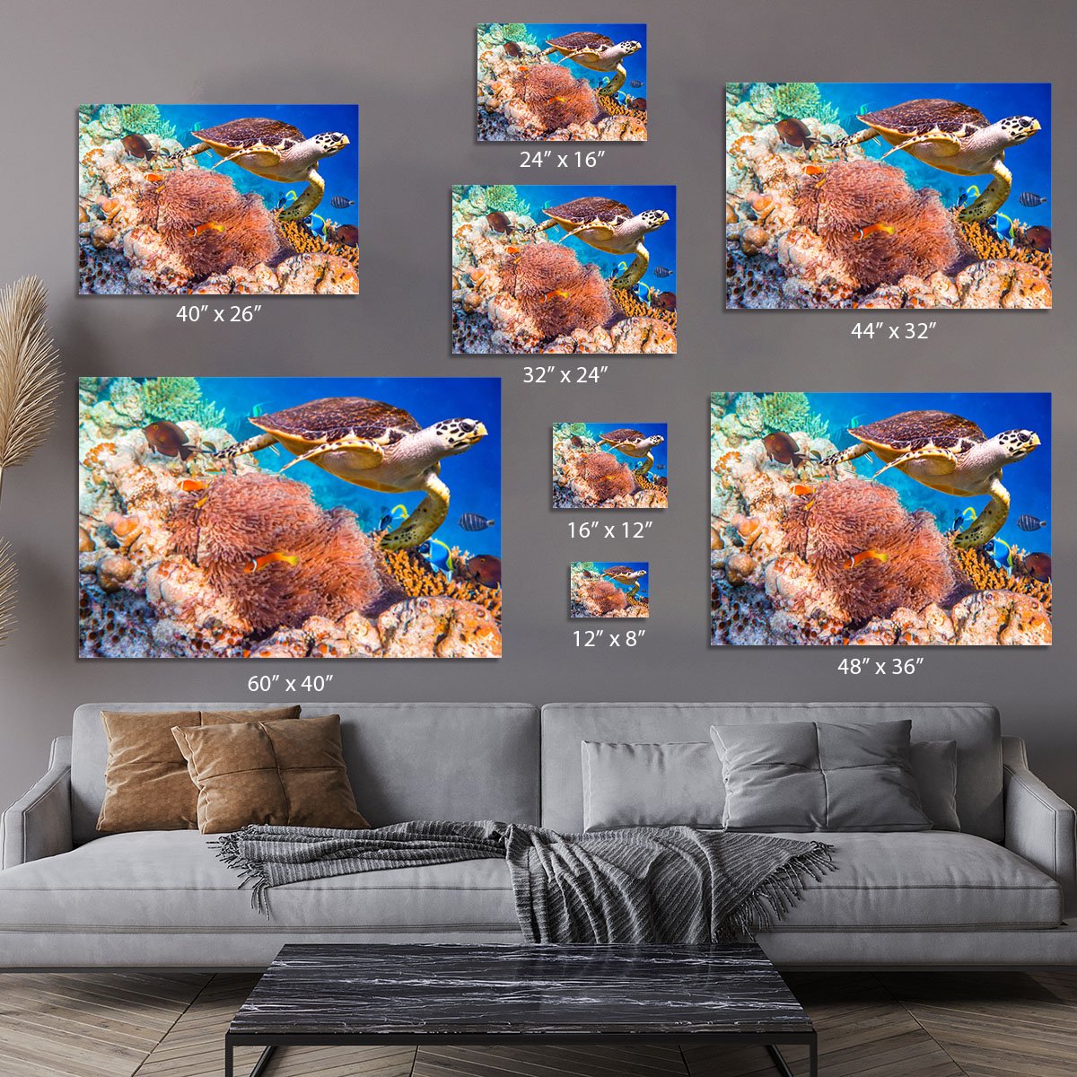 Hawksbill Turtle Canvas Print or Poster
