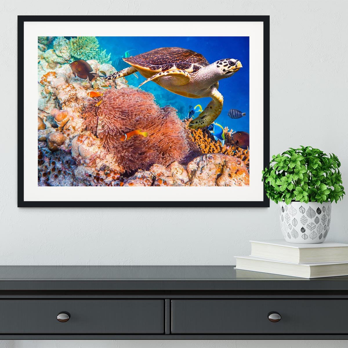 Hawksbill Turtle Framed Print - Canvas Art Rocks - 1