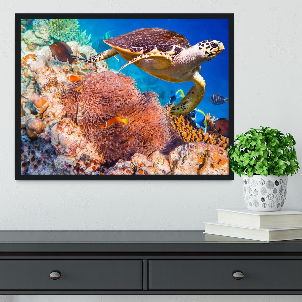 Hawksbill Turtle Framed Print - Canvas Art Rocks - 2