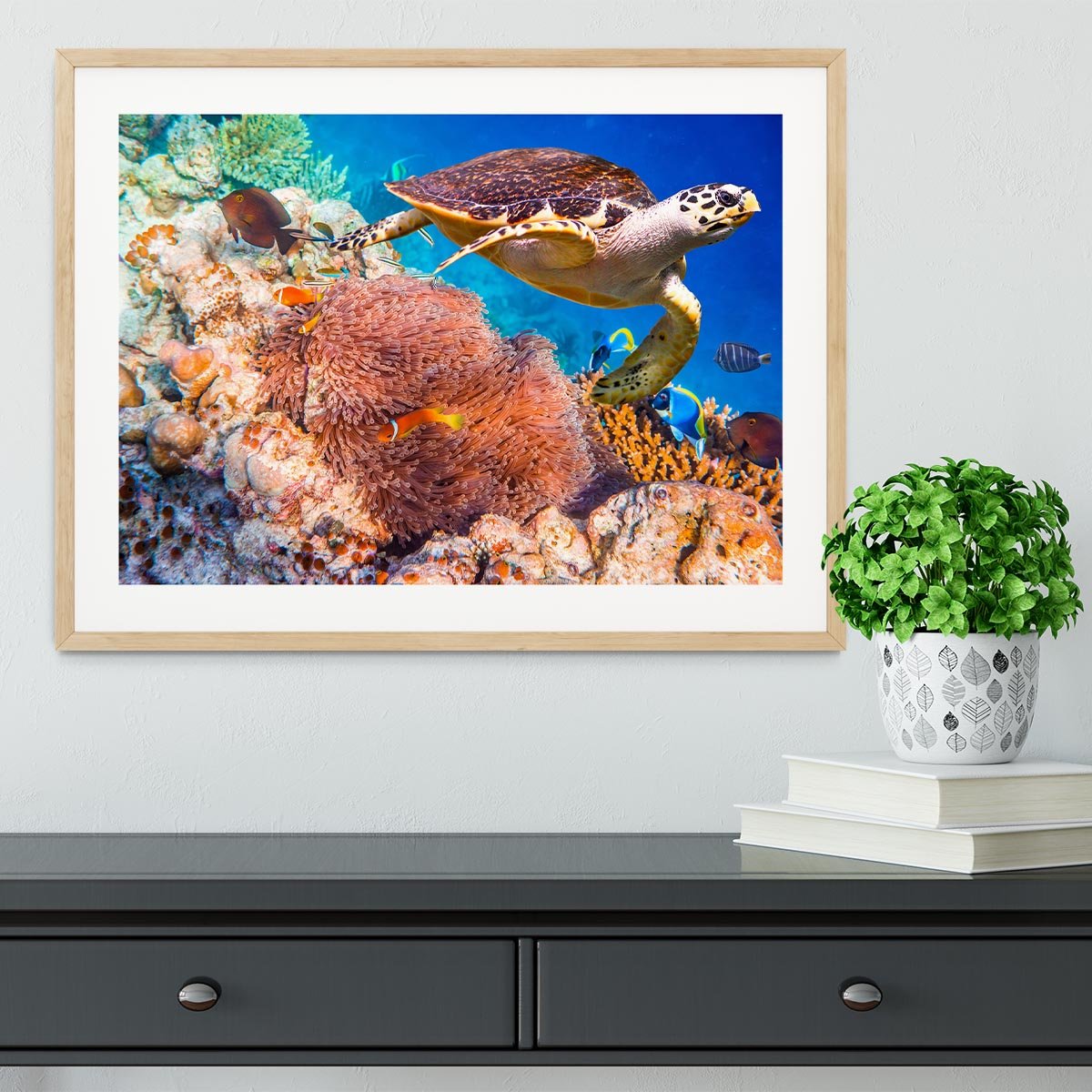 Hawksbill Turtle Framed Print - Canvas Art Rocks - 3