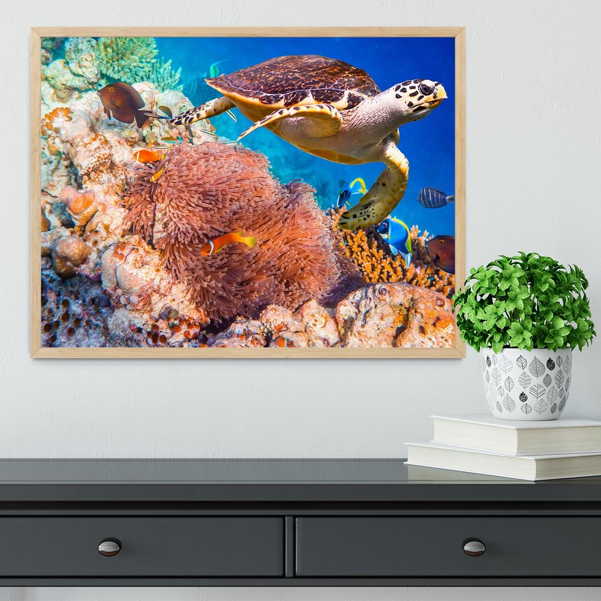 Hawksbill Turtle Framed Print - Canvas Art Rocks - 4