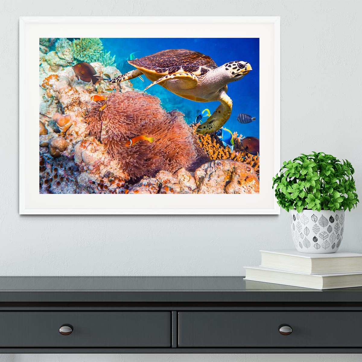 Hawksbill Turtle Framed Print - Canvas Art Rocks - 5