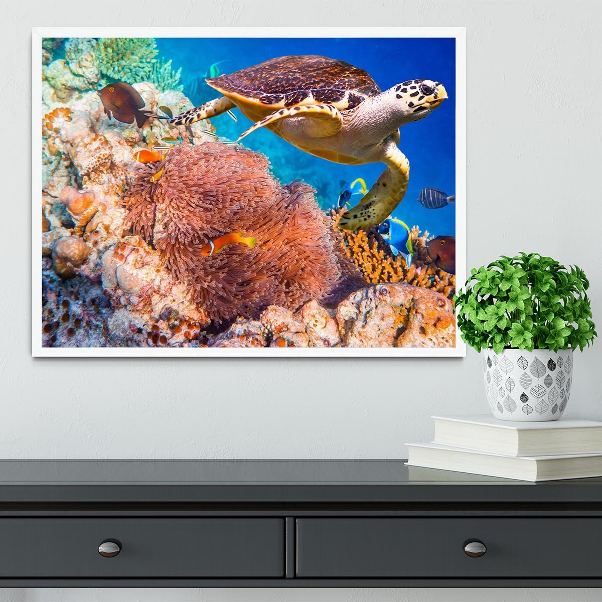 Hawksbill Turtle Framed Print - Canvas Art Rocks -6