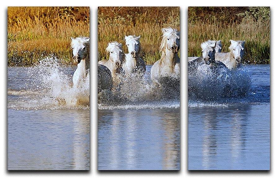 Heard of White Horses Running and splashing 3 Split Panel Canvas Print - Canvas Art Rocks - 1
