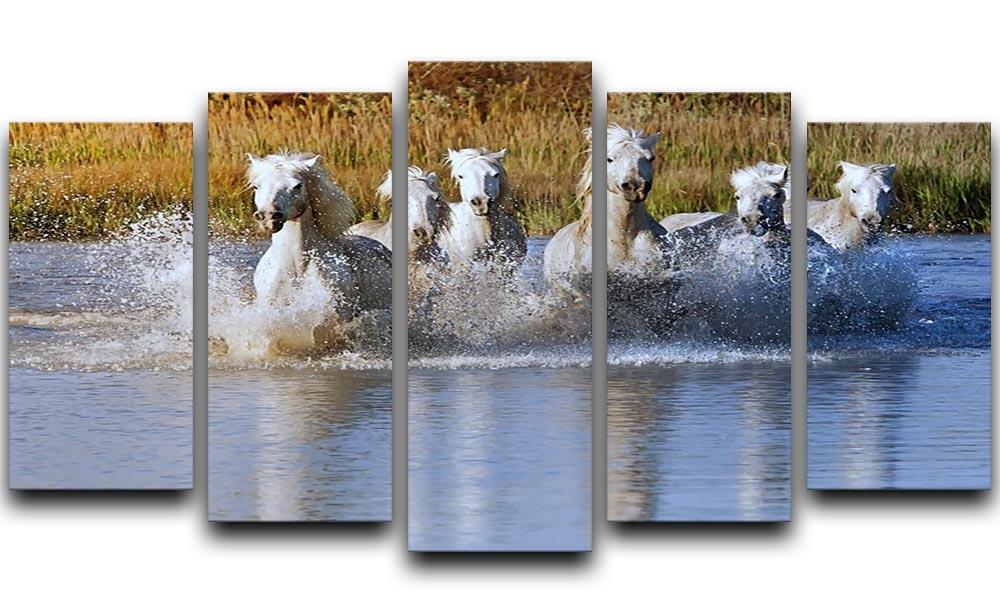 Heard of White Horses Running and splashing 5 Split Panel Canvas - Canvas Art Rocks - 1
