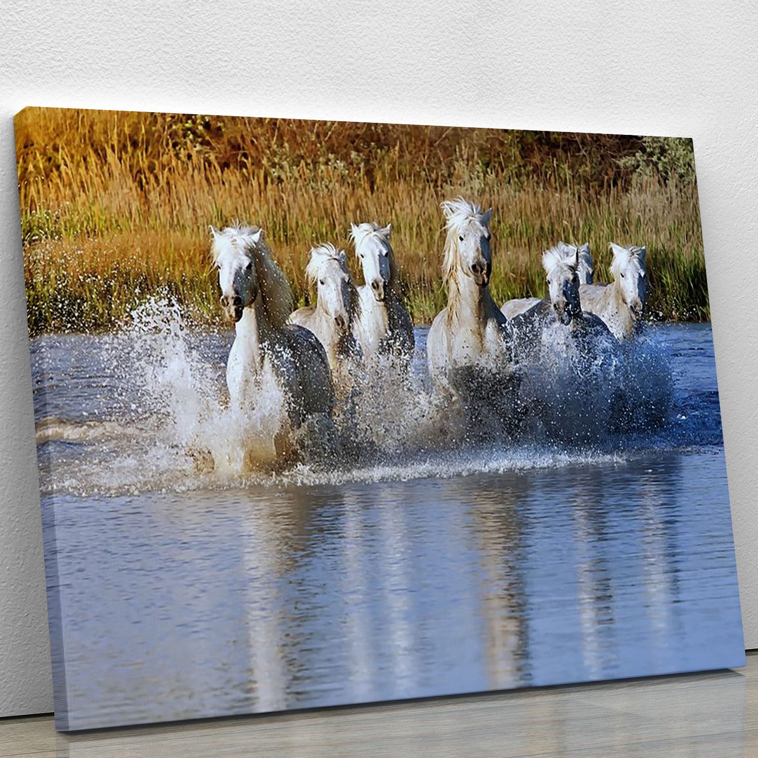 Heard of White Horses Running and splashing Canvas Print or Poster