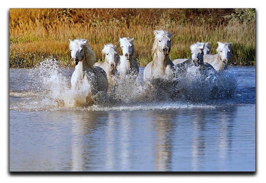 Heard of White Horses Running and splashing Canvas Print or Poster - Canvas Art Rocks - 1
