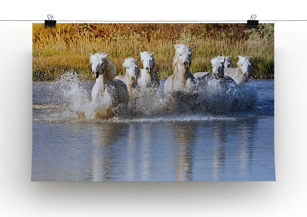 Heard of White Horses Running and splashing Canvas Print or Poster - Canvas Art Rocks - 2