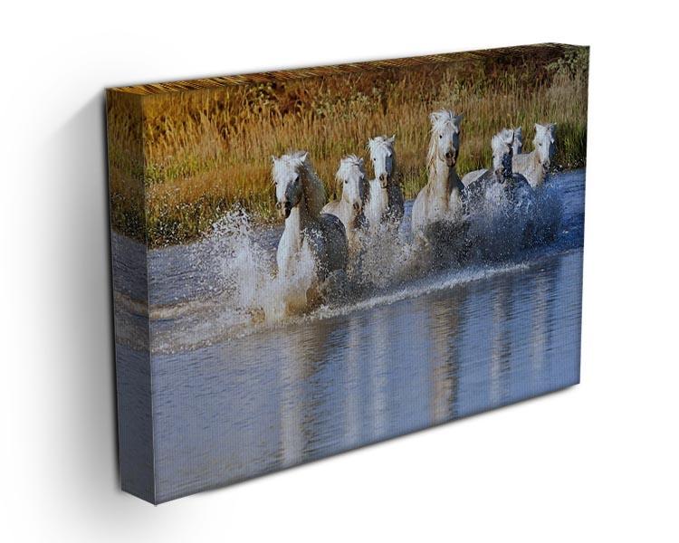 Heard of White Horses Running and splashing Canvas Print or Poster - Canvas Art Rocks - 3